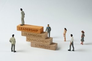 Leadership Development